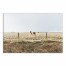 Lone Horse Photography 24x36 Canvas Wall Art