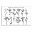 Vintage Medicinal Herbs 32x48 Canvas Wall Art