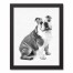 Bulldog Sketch 11x14 Black Framed Canvas