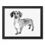 Dachshund Sketch 11x14 Black Framed Canvas