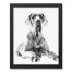 Great Dane Sketch 11x14 Black Framed Canvas