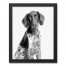 Pointer Sketch 11x14 Black Framed Canvas