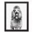 Poodle Sketch 11x14 Black Framed Canvas