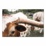 Longhorn Cow Close Up 24x36 Canvas Wall Art