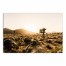 Dry Desert Scene 20x30 Canvas Wall Art