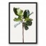 Mangolia Tree Sapling 20x30 Black Floating Framed Canvas