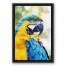 Blue and Yellow Parrot 12x18 Black Floating Framed Canvas