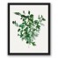 Green Bush 16x20 Black Floating Framed Canvas