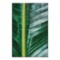 Palm Leaf Close Up 20x30 Canvas Wall Art