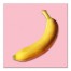 Banana Portrait 20x20 Canvas Wall Art