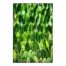 Banana Leaves 32x48 Canvas Wall Art