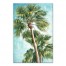 Tropical Palm Trees 20x30 Canvas Wall Art