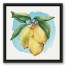 Lemons on the Vine with Blue Background 16x16 Black Floating Framed Canvas