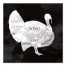 Turket Anatomy 20x20 Canvas Wall Art
