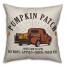 Pumpkin Patch 18x18 Spun Poly Pillow