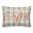 Hello Pumpkin 14x20 Spun Poly Pillow