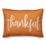 Thankful & Blessed 14x20 Spun Poly Pillow