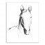 Stoic Horse Sketch 16x20 Canvas Wall Art