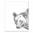 Brown Bear Sketch 24x30 Canvas Wall Art