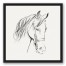 Calm Horse Sketch 20x20 Black Floating Framed Canvas