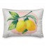 Summer Lemons 14x20 Indoor / Outdoor Pillow