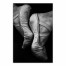 Ballet Shoes on Black 12x18 Canvas Wall Art