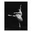 Black and White Ballerina 16x20 Canvas Wall Art