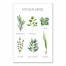 Watercolor Kitchen Herbs Handwritten 16x24 Canvas Wall Art