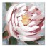 Large Pink Bloom 20x20 Canvas Wall Art