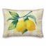 Buffalo Check Lemons 14x20 Indoor / Outdoor Pillow