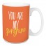 You Are My Sunshine 15 oz Mug