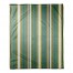 Green Stripes 50x60 Coral Fleece Blanket