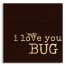 I Love You Bug 10.5x10.5 Pallet Wood Art