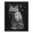 Gray Night Owl 16x20 Canvas Wall Art