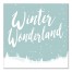 Winter Wonderland 16x16 Canvas Wall Art