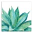 Green Aloe Plant 30x30 Canvas Wall Art