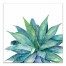 Watercolor Aloe Plant 36x36 Canvas Wall Art