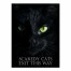Halloween Black Cat 12x16 Canvas Wall Art