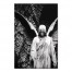 Cemetary Angel 20x30 Canvas Wall Art