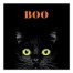 Boo Hallween Cate 12x12 Canvas Wall Art