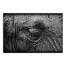 Elephant Skin Texture 12x18 Canvas Wall Art