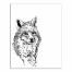 Fox Sketch 11x14 Canvas Wall Art