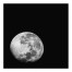 Black and White Moonrise 16x16 Canvas Wall Art