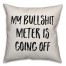 My Bullshit Meter Is Going Off Pillow
