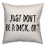 Don't Be A D*** Pillow