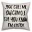 Call Me Guacamole Pillow Cover