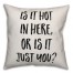 Hot In Here? Pillow Cover