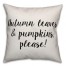 Autumn Leaves And Pumpkins Please Pillow Cover