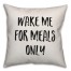 Wake Me For Meals Only Pillow