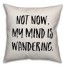 My Mind Is Wandering Pillow